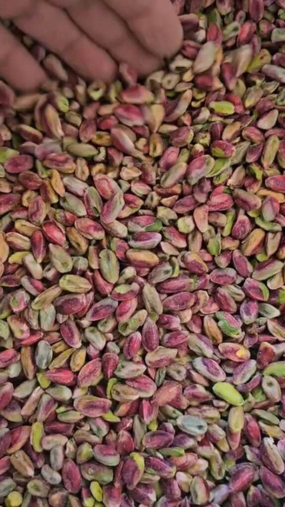 الفستق الأخضر الطبيعي المقشّر من مزارع Alyassin Farms