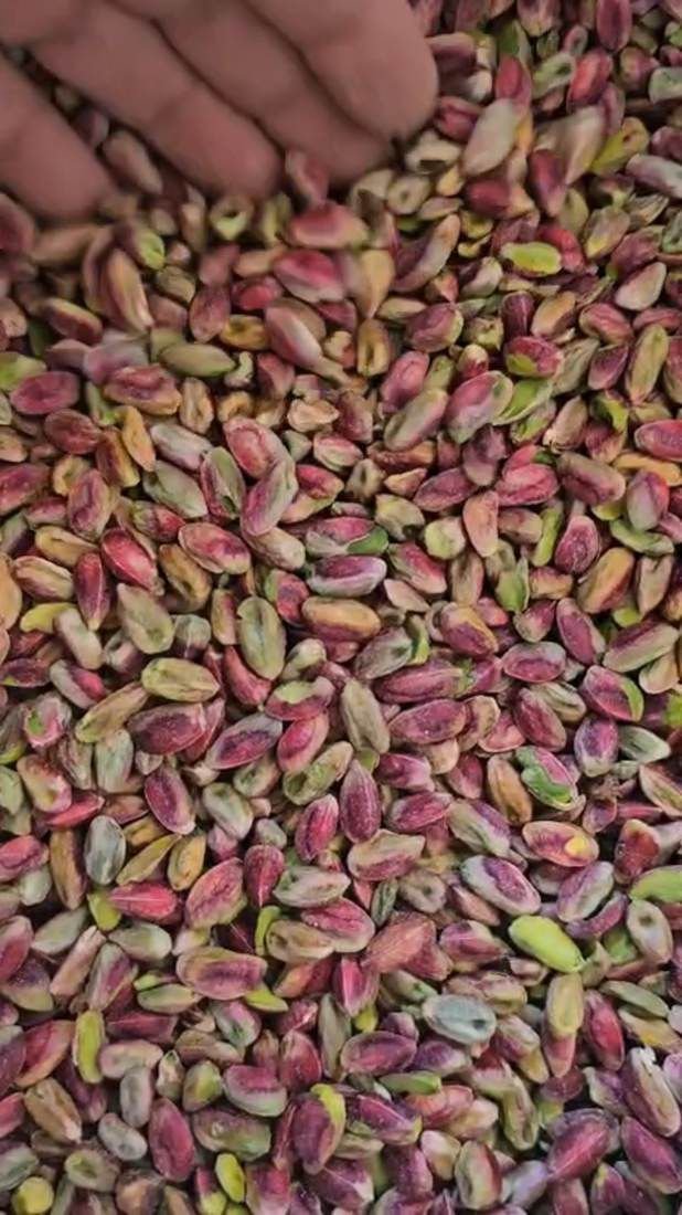 الفستق الأخضر الطبيعي المقشّر من مزارع Alyassin Farms